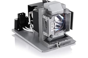 GreenBale Ampoule de Lampe de Rechange pour Vidéoprojecteur pour Promethean UST-P1-LAMP UST-P1, pour Vivitek 5811118004-SVV D755WT D751ST DW755WTiR D756UST D755WTiR D755WTi D756USTi DH759USTi