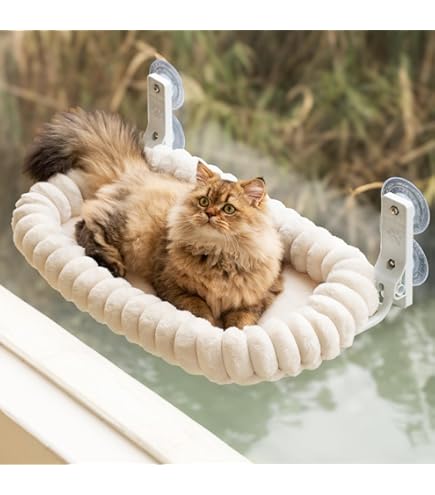 MEWOOFUN Hangmat voor kattenraam, zitstok met 2 kattentrappen, draadloos kattenraambed met 3 sterke zuignappen, 63 cm brede houten kattenhangmat voor binnenkatten