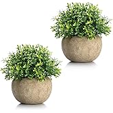 Dekorly® Artificial Plants Fake Mini Potted Plant Small Greenery Decor for Indoor Home Farmhouse Aesthetic Bedroom Shelf Offi