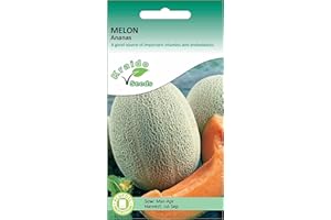 KRAIDO SEEDS Melon Seeds for Planting UK - Ananas - 20 Seeds