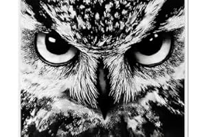 AMBATTERY Knüpfteppich Zum Selber Knüpfen Schwarz-Weiße Eule，Handgefertigtes Set Zum Selbstknoten，Großer Knüpfteppich，Vorgedrucktes Muster，Teppich，Stickerei，Basteln Für Erwachsene 31x63in