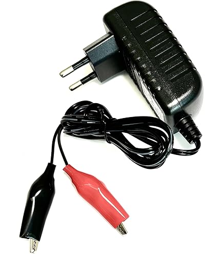 NASTIMA LiFePO4 Oplaadbare accu, 6 V, 6 Ah, met BMS-bescherming en lage cyclus 2000, bewakingscamera's, speelgoedauto's voor kinderen, motorboten, camping, zonnepanelen NASTIMA LiFePO4 Oplaadbare accu, 6 V, 6 Ah, met BMS-bescherming en lage cyclus 2000, bewakingscamera's, speelgoedauto's voor kinderen, motorboten, camping, zonnepanelen