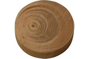 JOWE 50 pièces bouchons à noeud en bois du sapin Diamètre 25mm, épaisseur 9 mm - Plaquettes rondes à noeud pour rapiéçages avec facette