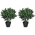 Leaf Design UK Pair of Artificial Bay Topiary Ball Trees, Mixed Materials, Green, 50cm