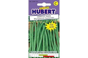 GRAINES HUBERT SEMENCES & ENGRAIS MAIROL 50 Graines de Haricot nain Mangetout Castandel - Format Petit Jardin