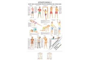 ‎SPORT-TEC Stretching Anatomy 34x24 cm Medical I Mini Poster ('Medium