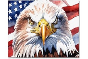 TISHIRON DIY Painting by Numbers for Adults, American Flag Paint by Number, A Bald Eagle Adult Paint by Numbers Kits on Canvas, Flameless Paint by Numbers for Beginner and Kids 16X20 Inch