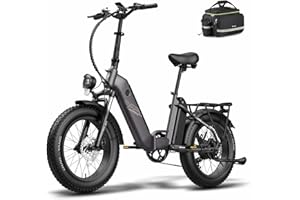 Fafrees Bicicleta eléctrica FF20 Polar, Bici Eléctrica Plegable de 20 ", Batería Extraíble de 48V/10.4 * 2Ah, 7 Velos, Ebike para Adultos, Alcance de 80-140KM