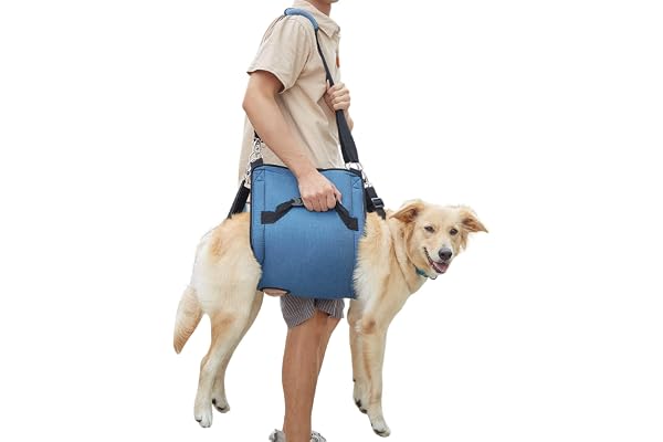 COODEO Porteur pour Chien Sling, Sac à Dos d'urgence pour Le Soutien des Pattes d'animal de Compagnie et Harnais de Levage pour Chiens, Porte-Chien pour Chiens âgés souffrant d'arthrite(XXL, Bleu)