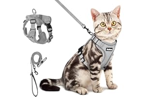 PetBonus Harnais et laisse réglables pour chat, anti-fuite, respirant, facile à contrôler, laisse réfléchissante et veste pour chat, chaton, chaton (gris, taille S)