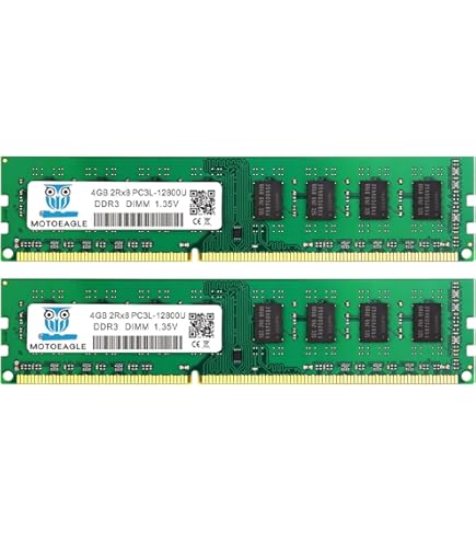 BRAINZAP Memoria RAM da 32 GB (4 x 8 GB), DDR3, DIMM PC3-12800U