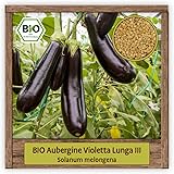 BIO Aubergine Samen Sorte Violetta Lunga III (Solanum melongena) Gemüsesamen Eierfrucht Saatgut