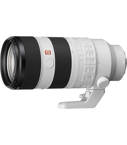 TAMRON 28-200 F/2.8-5.6 Di Ⅲ RXD 61uHVlmgJNL._UF350,350_QL50_.jpg