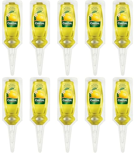 RAINBEAM Oscar Tintori Chicchi di Sole 2 kg Zitrusdnger Langzeitdnger  speziell fr Zitruspflanzen Granulat Mineralischer Dnger : Amazon.de:  Garten