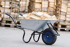 TIREX by xonic® Schubkarre mit Stahlfelge – Verzinkte Wanne bis 250kg/ 100l - Robuste Ausführung für Garten und BAU – Schieb-Karre mit Luft-Rad Blau