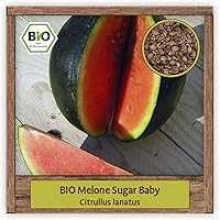 BIO Melonen Samen Wassermelone Sugar Baby (Citrullus lanatus) Melonen Saatgut