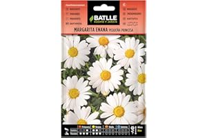 Semillas Batlle Margherita Nano Piccola Principessa