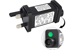DR. WATCH 31V 9W LED Power Transformer, Plug with 8 Modes, Memory & 6 Hour Timer, IP20 for Christmas Lights, Net Lights, Icicle Lights CZJUTAI JT-EL/FC31V9W(31V9W)