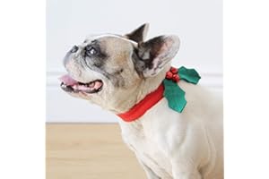 Talking Tables Christmas Dress Up Dog Collar Pet Accessory with Holly Leaf Design