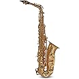 Roy Benson Eb-Alt Saxophon MOD.AS-302 Messing Korpus lack., inkl. leichtem Rechtecketui