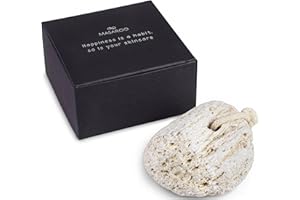Masaroo Natural Pumice Stone for Feet – Natural Foot Scraper - 100% Chemical-Free, Platic-Free and Toxin-Free -Hard Skin and Callus Remover for Feet