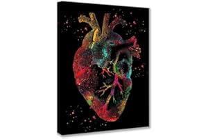 WALARKY Anatomisches Herz-System Diagramm Kunstmalerei menschliche Organe Anatomie-Bilder für Ärzte Krankenschwester Drucke auf Leinwand Kunstwerk medizinische Körperkarte Wandkunst Wohnzimmer