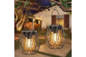 Dehobo Lanterne Solari da Esterno 2 Pezzi - LED Lampade Solari IP65 Impermeabile - Lampione Solare da Esterno Metallic con LED a Luce Bianca Calda 2700K per Decorazione e Campeggio Giardino