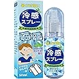 Skin Cooling Spray | Peppermint Cooling Mist Cool Down Spray | Instant Cooling Mist Spray Face & Body | Long-lasting Portable Hydrating Cool Spray Bottle, Cool In Summer, Hot Flash Relief Spray