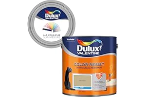 Ma Couleur Sur-Mesure par Dulux Valentine – Peinture Intérieure Murs, Plafonds, Boiseries - Palette Intemporelle, Pièce à Vivre Mat, Bambou , 2,5 L