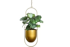 VDYXEW Hanging Planters, Metal Plant Hanger, Hanging Basket, Modern Metal Hanging Planters for Indoor Plants, Boho Modern Plant Hanger, Minimalist Home Decor (Gold)