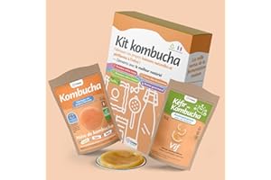 ORISAE Kit kombucha complet - Mère de kombucha fraîche bio - Paquet de thé - Bouteille - Bocal - Passoire - Tissu - Aromatisation au choix - Fabriqué en France (Vif)