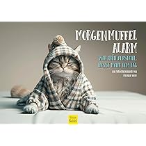 Edition Seidel Premium kalender coole katten 2026 formaat DIN A3 Edition Seidel Premium kalender coole katten 2026 formaat DIN A3
