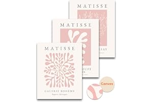 HesenDot Unframed Matisse Pink Wall Art,30x40CM Abstract Canvas Posters Wall Decor,Boho Botanical Prints,Minimalist Aesthetic Home Decoration for Living Room Bedroom Bathroom,Set of 3