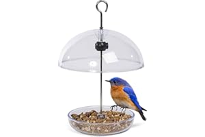 JACOBI JAYNE Mangiatoia trasparente per uccelli da appendere, I Love Robins Pearl Feeder con cupola da pioggia da 15 cm, attira piccoli uccelli da giardino. Riempire con semi di uccelli o vermi della farina