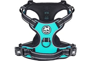PoyPet No Pull Dog Harness, Reflective Vest Harness with 2 Leash Attachments and Easy Control Handle for Small Medium Large Dog(Mint Blue,M)