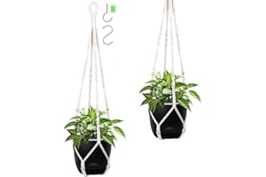 QCQHDU 2 PCS 18cm Pot Suspendu Plante Exterieur & Intérieure，Pots de Fleurs à Suspendre，86,36cm Macrame Suspension Plante,Bassin intérieur Transparent en Plastique avec Trou de Drainage