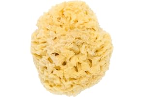 The Dida World Bath Splash - Esponja Marina, diámetro 10 cm, color Natural