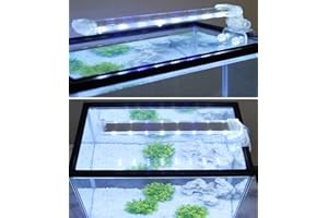 BPS BUENA PET SHOP BPS Lámpara de Acuario LED Iluminación Luces para Plantas Luz Blanco y Azul 2 Modelos para Elegir 4W/8W (12W: 400 x 40 mm) BPS-6169