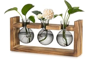 Glasseam Station de Propagation en Verre pour Maison: Vintage Terrarium Plante avec Cadre en Bois pour Intérieur Salon Cuisine Fenêtre Table Décor - Gris Vase Fleur pour Plantes Hydroponie Bouturage
