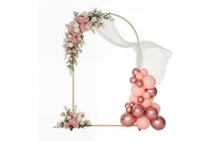 XRCHAA Arche de Mariage, 2M Arche à Ballons en Métal pour Mariage Support de Décoration Arche de Ballons, Cérémonie Nuptiale, Anniversaire, Fête de Graduation, Cadre avec Fleurs