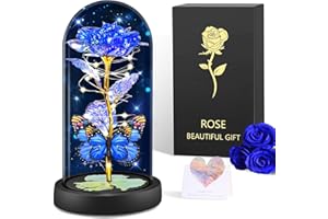 BOLEi Rosa Regalo Per Donne, Rosa Eterna In Vetro, Regalo Per Mamma, Regalo Di San Valentino Per Lei, Regalo Di Natale Per Donne, Regalo Per Sorelle, Mamma, Nonna (Rose Blu e Oro Con Farfalle)
