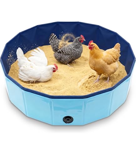 Hühnerstaubbad Sandbadewanne 60x15cm – Bodenlos Mit 10 Heringen, Einstellbar, Für Hühner, Enten & Puten, Inkl. Nistkasten-Pads