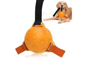 TASDISE Balls da cane in gomma interattiva, giocattoli da calcio per cani palline da bingoie, giocattoli a pallone da calcio interattivi durevoli per l'allenamento e l'esercizio fisico per i cani