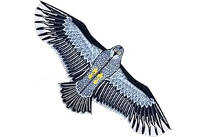 Touch the sky Gran cometa de águila para niños y adultos, fácil de montar y volar, juguete de playa y verano al aire libre para niños y niñas