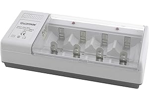 LLOYTRON Universal Home Battery Charger for AA / AAA / C / D / 9V (PP3) NiMh / NiCd Rechargeable Batteries - Charge 2 or 4 Batteries at Once - B044 - Grey