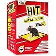 HIT Rat/Mouse Trap Glue Pad, Pack of 5 (Regular Size) - No Smell, Non-Poisonous, Easy to Use, Easily Disposable
