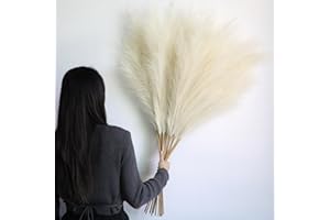 LARBER 12 Pièces Pampa Artificielle,115cm Pampas Sechees Decoration XXL,Herbe de la Pampa pour Vase,Salon,Chambre à Coucher,Mariage,Décoration Boho (Beige)