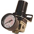 Primefit R1401G Mini Air Regulator with steel-Protected Gauge, 60-Scfm At 100-Psi, 1/4" Npt