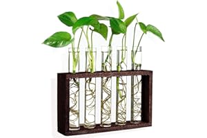 Ompinda Plant Propagation Station, 5 Glass Test Tube Vase with Wooden Holder Wall Hanging Plant Terrarium Perfect for Home/Office/Garden Decor
