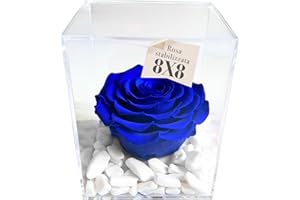 PREMIUM-ROSE.COM PREMIUM ROSE - Cubo Rosa Stabilizzata Blu 8 cm con Marmo di Carrara - Rosa Eterna Stabilizzata Made in Italy - Idea per Bomboniere, Lauree e Battesimi - Blu A 1081